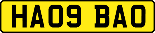 HA09BAO