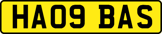 HA09BAS