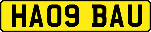 HA09BAU