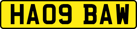 HA09BAW
