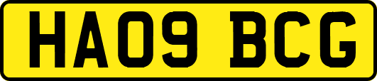 HA09BCG