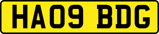 HA09BDG
