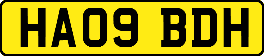 HA09BDH