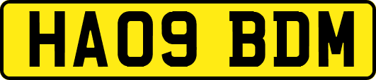 HA09BDM