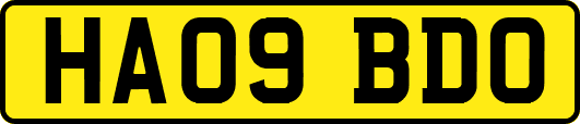 HA09BDO
