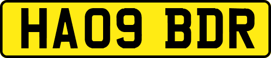 HA09BDR