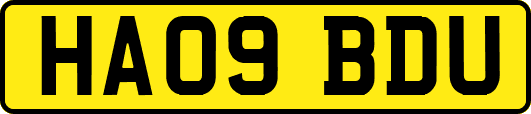 HA09BDU