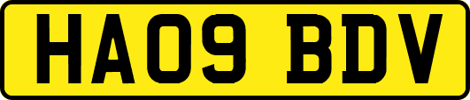 HA09BDV