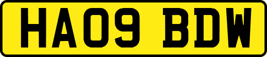 HA09BDW