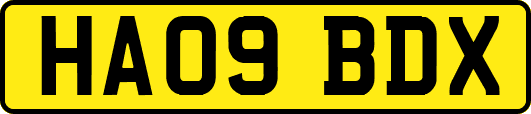 HA09BDX
