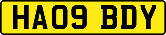 HA09BDY