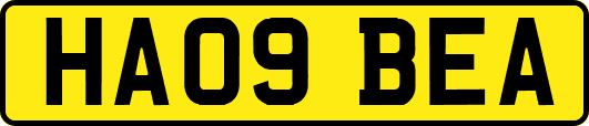 HA09BEA