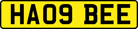 HA09BEE