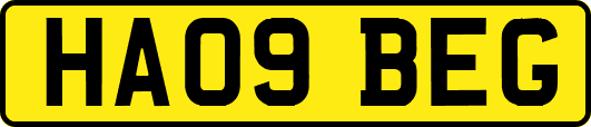 HA09BEG