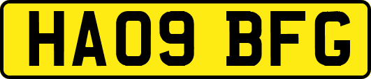 HA09BFG