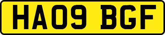 HA09BGF