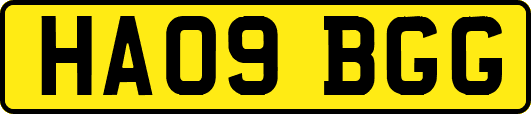 HA09BGG