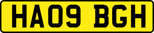 HA09BGH