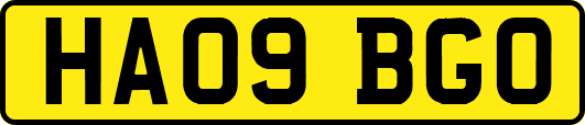 HA09BGO