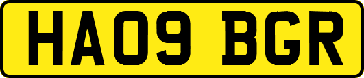 HA09BGR
