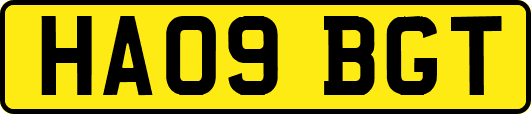HA09BGT