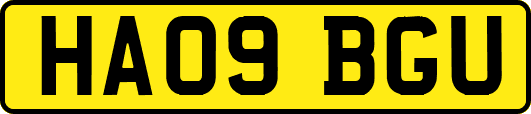 HA09BGU