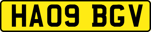 HA09BGV