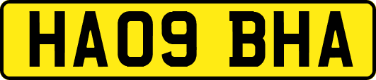 HA09BHA