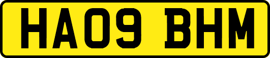 HA09BHM