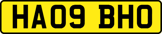HA09BHO
