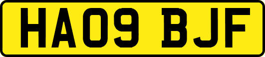 HA09BJF
