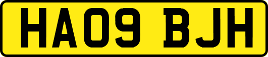 HA09BJH