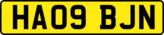HA09BJN