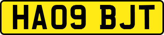 HA09BJT