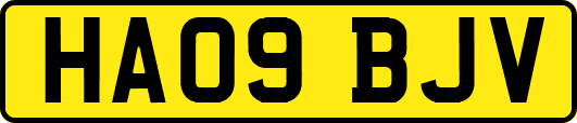 HA09BJV