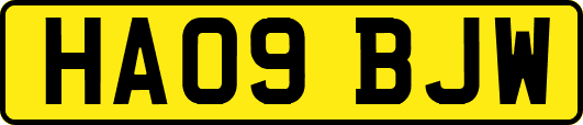 HA09BJW