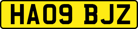 HA09BJZ