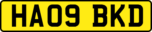 HA09BKD