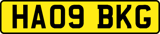 HA09BKG