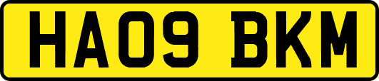 HA09BKM