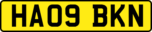 HA09BKN