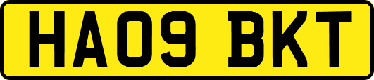 HA09BKT