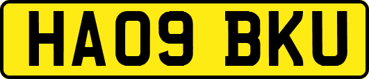 HA09BKU