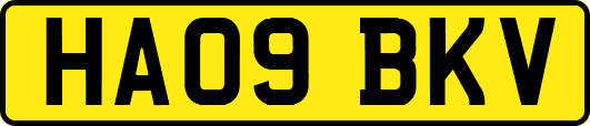 HA09BKV