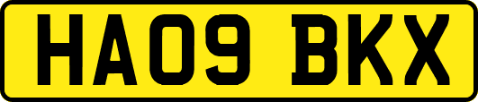 HA09BKX