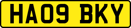 HA09BKY