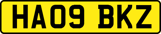 HA09BKZ