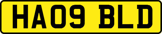 HA09BLD
