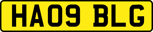 HA09BLG