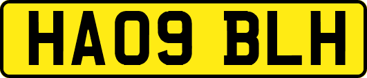 HA09BLH